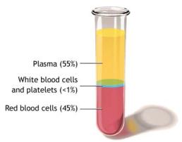 blood components